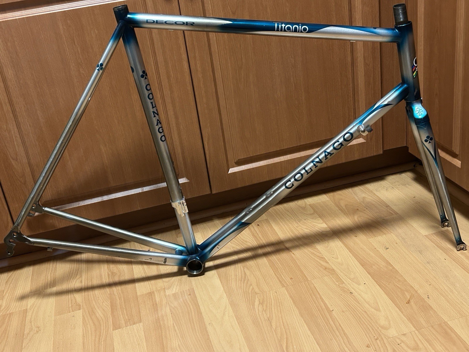 Vintage Colnago Titanio BiTitan Decor Titanium 90s Road Bike CrMo Fork 700c RARE