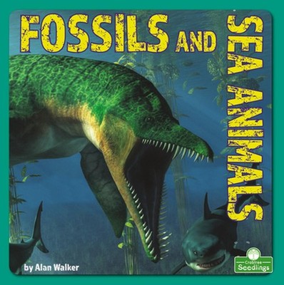 Fossils and Sea Animals by Alan Walker (English) Paperback Book