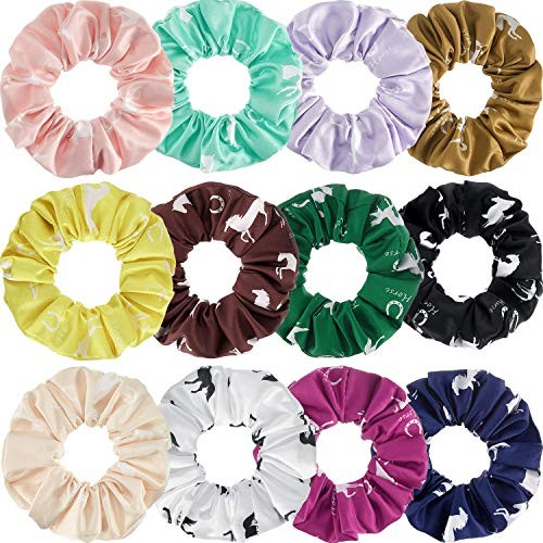 12-Piece Silk Satin Horse Hair Scrunchies Ponytail Ties