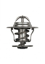 Thermostat Audi 60