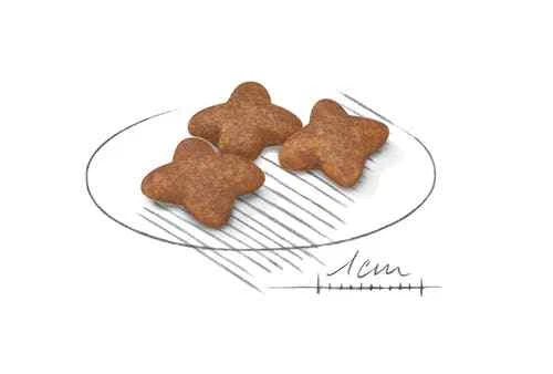 Royal Canin Mini Adult Kroketten für Hunde Kleine Größe Trockenfutter Hund 800gr - Bild 3 von 4