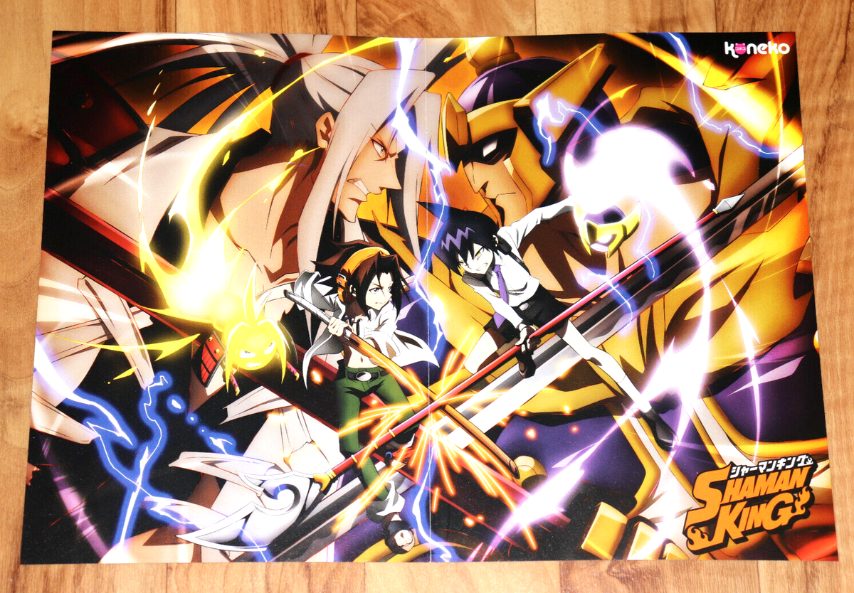 SK8 the Infinity / Shaman King Anime Manga Small Poster 41x30cm | eBay