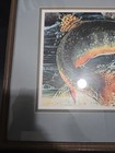 Framed Signed Print Peacock Bass Dan Perotti Wildlife Art Painting — photo 4