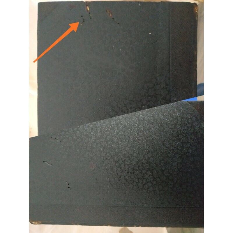 Foto 12 di 12