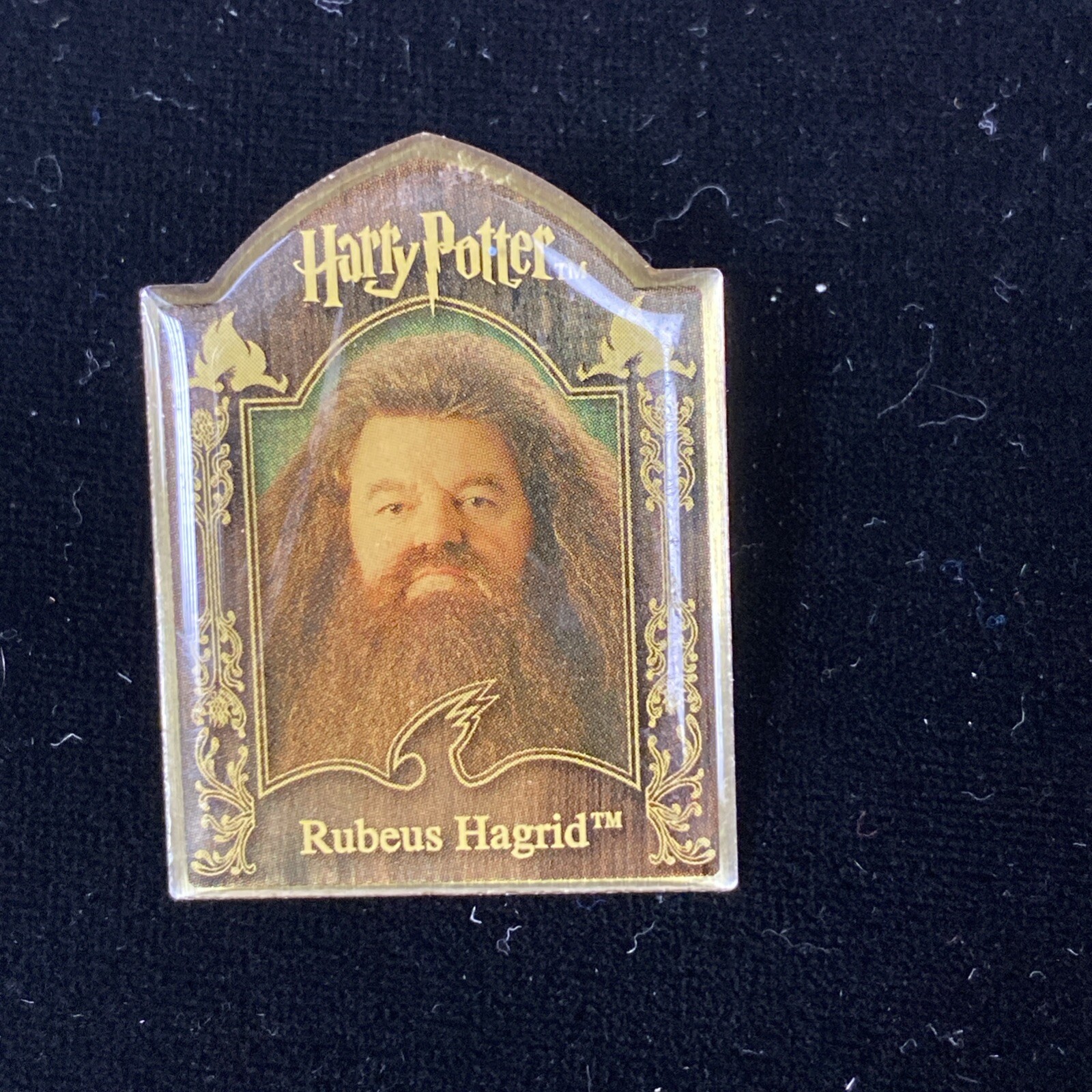 Hogwarts Rubeus Hagrid Harry Potter 2007 Licensed Pin Gryffindor Collectible