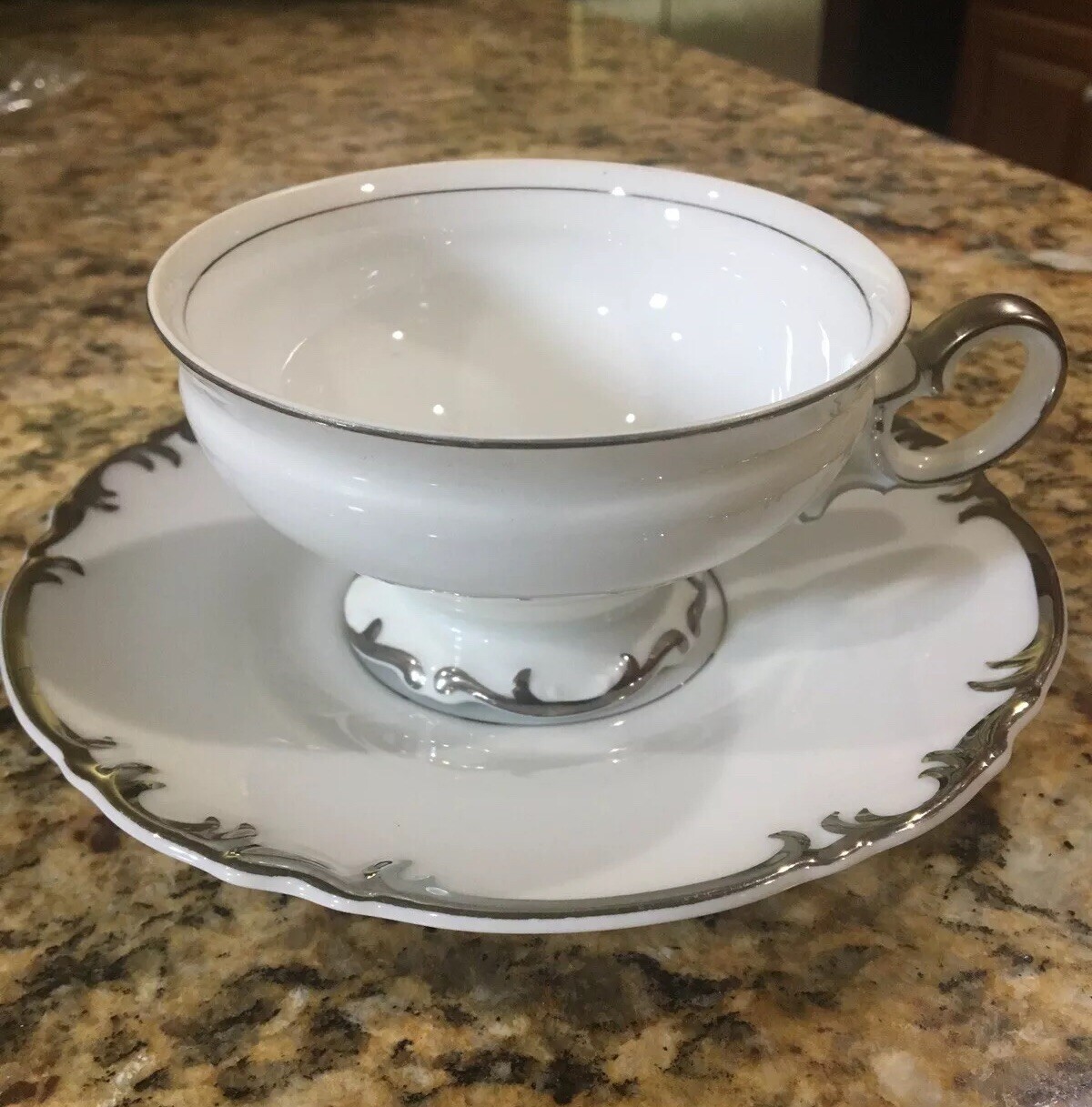 Mikasa Fine China MARLBORO 9267 Footed Tea Cup & Saucer,Platinum Trim