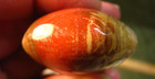60g PETRIFIED WOOD PALMSTONE MADAGASCAR POLISHED RED/BROWN/TAN/WHITE #201 — photo 3
