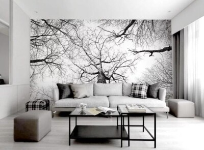 3D Branch Sky ZHUA24097 Wallpaper Wall Murals Removable Self-adhesive Ann