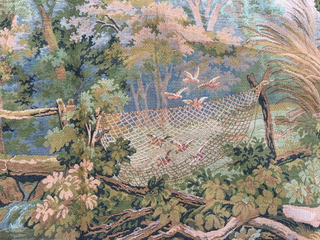 Picture 6 of 11