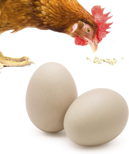 Fake Wooden Eggs to Train Birds from Laying in the Nesting Boxes & to Stop from - Picture 11 of 12