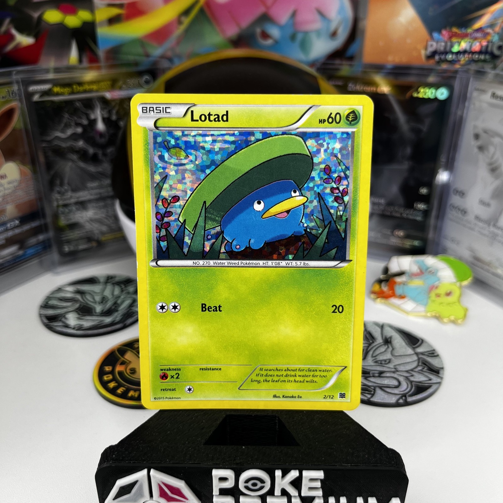Lotad 2/12 McDonald's 2015 Promo Holo (LP)