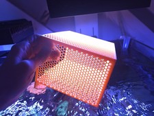 Mushroom / Anemone / Coral Frag 3d Printed Basket (ABS Neon orange)