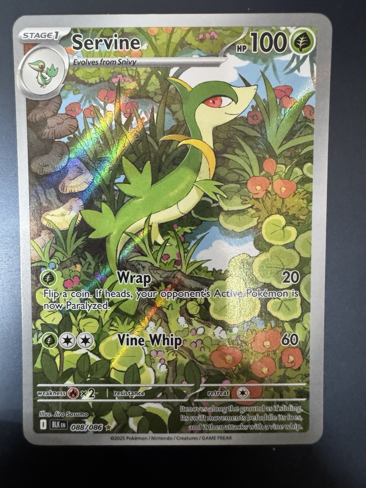 Servine 88/086 Illustration Rare PokemonTCG SV: Black Bolt