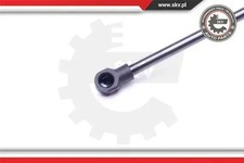 Verin de hayon / de capot Fiat PALIO