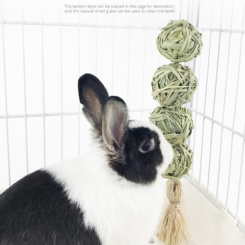 Bunny Chew Toy for Teeth Clean for Hay Treats Balls for Rabbit Chinchilla Hamste - Picture 6 of 8