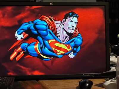 HP ZR24W VM633A 24'' 1920 x 1200 Widescreen DP DVI VGA LCD Monitor Only  NO STAND