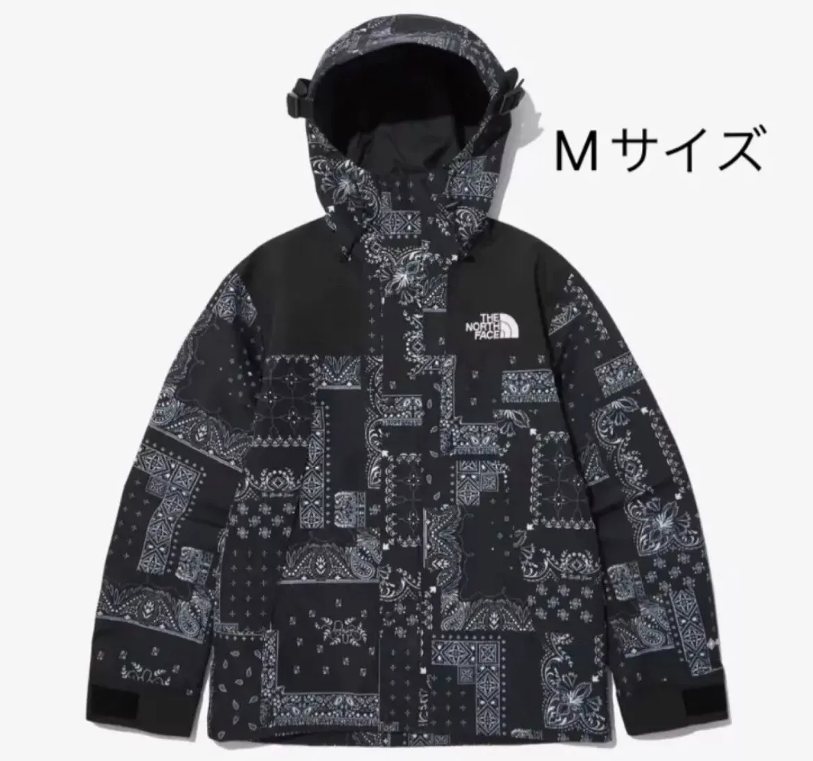 North Face White Label Paisley Gore Tex Mountain Jacket free shipping from  japan