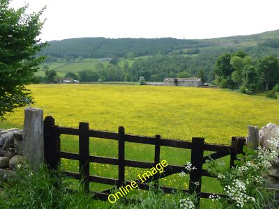 Photo 6x4 Wharfedale buttercup meadow Appletreewick  c2013