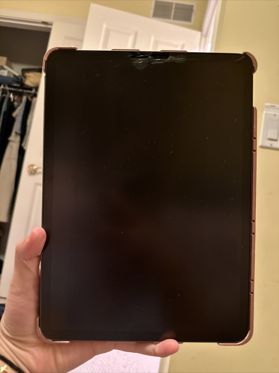 Apple iPad Pro 1st Gen. 256GB, Wi-Fi, 11 in - Space Gray | eBay