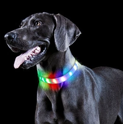 ILLES-LAEDCHEN LED Leuchtring für Hunde - Leuchthalsband wasserdicht und wiederaufladbar USB C
