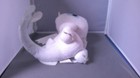 Bild 2 von 5