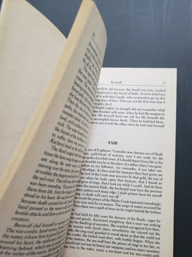 Beowulf Dover Thrift Editions Paperback - Picture 7 of 9