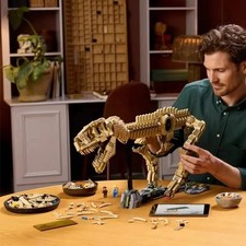 MOC 76968 Tyrannosaurus Rex Fossil Skeleton Model Home Decor Children's Boys'
