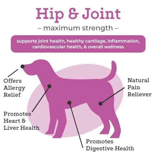 VetPro Dog Hip and Joint Supplement Pain and Inflammation Relief Chews