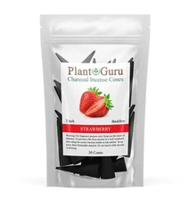 30 Jumbo Charcoal Incense Cones BACKFLOW 2" Bulk Waterfall Burner Holder Censer