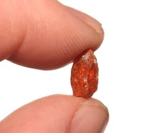 Amber Tree Sap Pitch - Dinosaur Age Fossil Hell Creek Formation Cretaceous GREAT