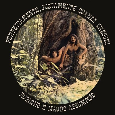 Rubinho E Mauro Assumpcao Perfeitamente, Justamente Quando Cheguei LP Vinyl