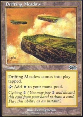 Drifting Meadow - Damaged, English