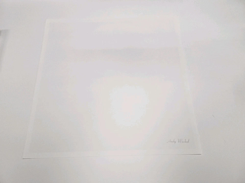 Andy Warhol - Shot Sage Blue Marilyn Lt. Ed. print signed numbered - image 3 of 4