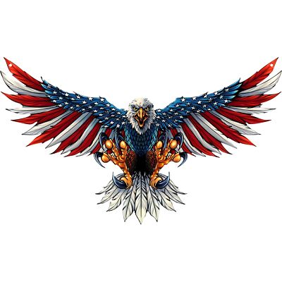 Bald Eagle Decor, American Flag Metal Wall Art, Patriotic Decoration Gift for Me