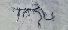 Wire Harness (engine) FORD EDGE 12