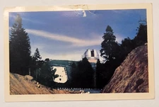 Palomar Mountain California Vintage Highway To The Stars Postcard