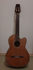 Vantage Acoustic Guitar for sale | eBay