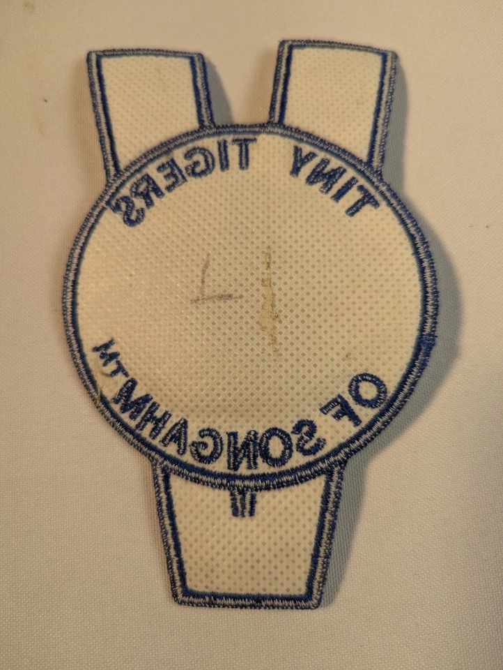 Tiny Tigers of Songahm Taekwondo Patch Blue Edges Free Shipping  - Image 2 of 2