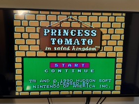 Princess Tomato in the Salad Kingdom (Nintendo Entertainment System, nes) game