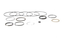Skyjack 310568, SEAL KIT- HYDRAULIC MOTOR FOR 310545, SJIII3219