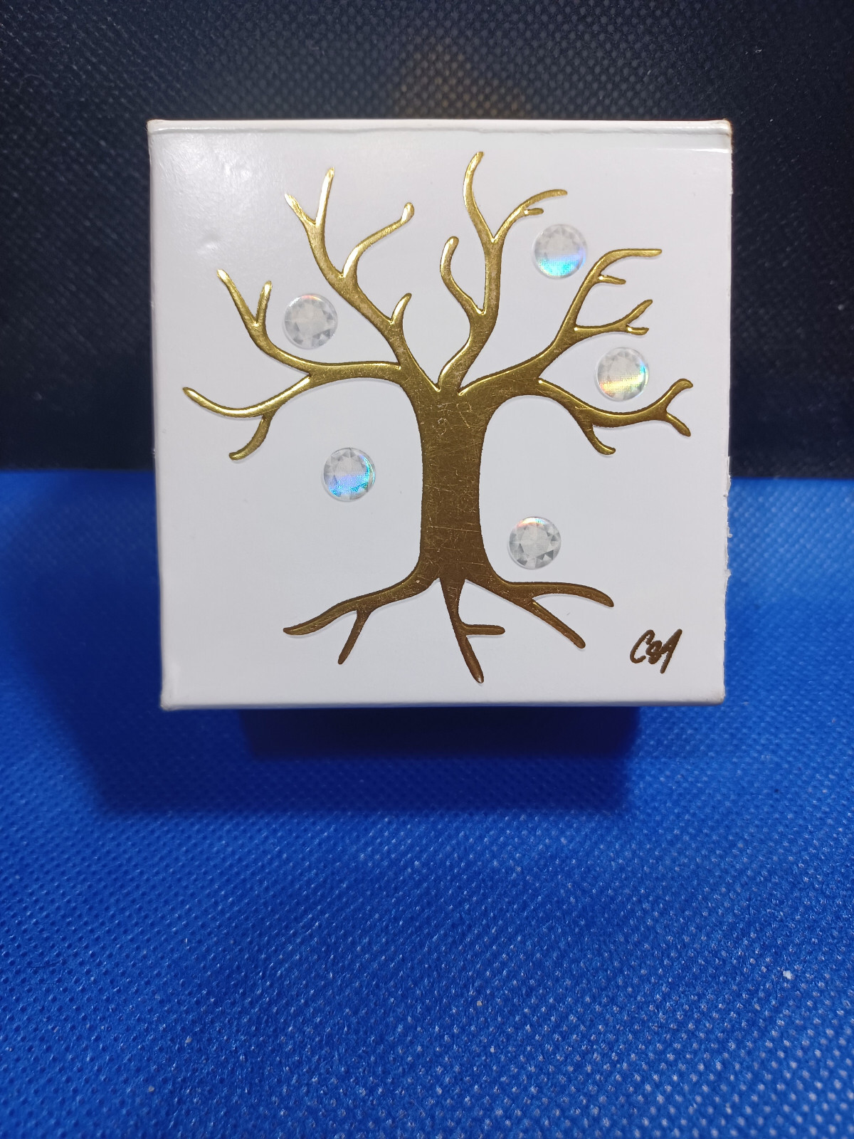 Picture 4 of 17
