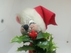 Bild 4 von 11