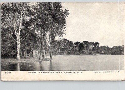 Scene in Prospect Park, Brooklyn, N.Y Vintage Postcard Wpc7