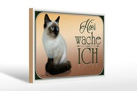 Holzschild Katze 30X20 Cm Birma Katze Hier Wache Ich Deko Schild Wooden Sign