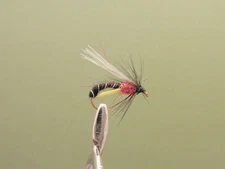 8 Pack Black & Red Emerger Trout Fly, Mixed Size 10/12/14 Fishing Flies