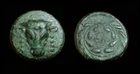 AE17 Elateia – Phokis (Bull head / Wreath)