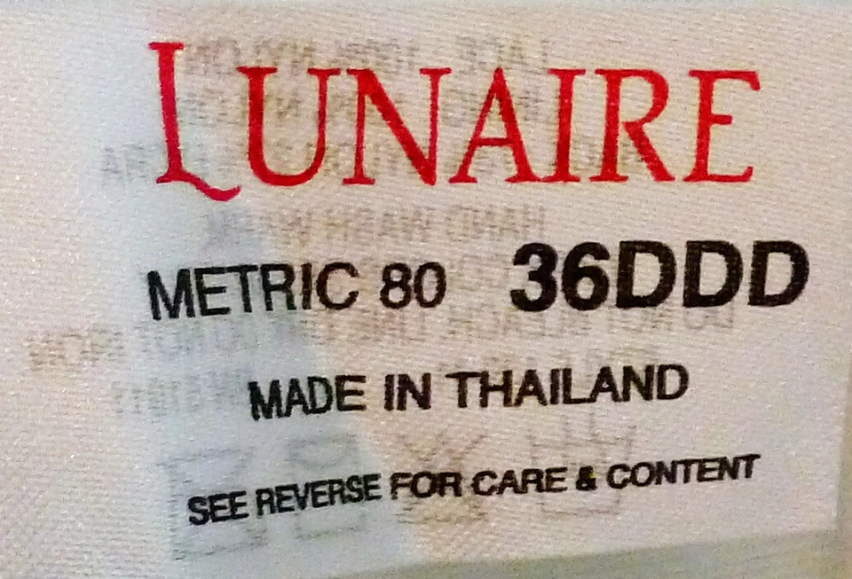 LUNAIRE BRIDAL WHITE LACE CUPS WITH POCKETS UNDERWIRE LONGLINE BRA 36DDD NWT - Image 4 of 4