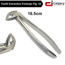 Tooth Extraction Forceps FIG # 33 Lower Roots Extracting Surgical Instruments CE