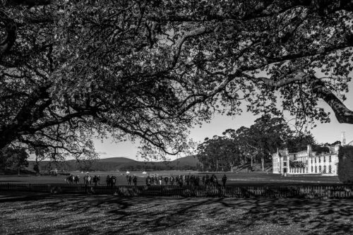 History Art Photographs