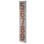 Bild 170 von 282